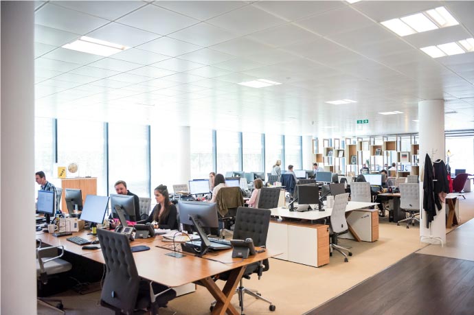 Limpieza oficinas